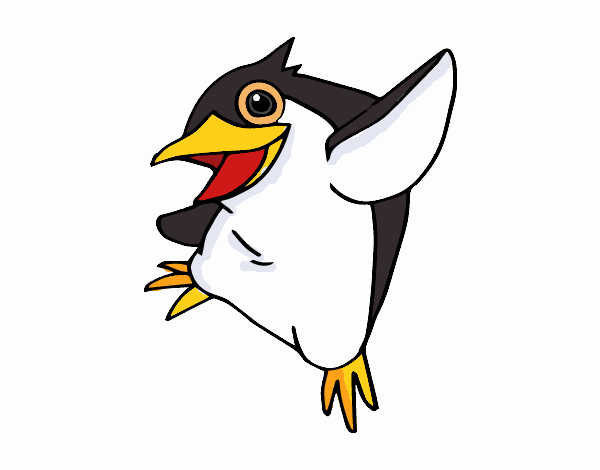 Pingualoco