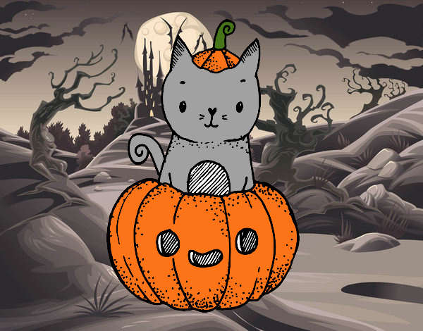 Un gatito de Halloween