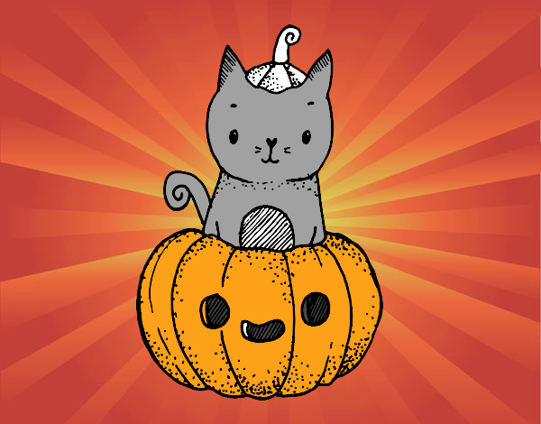 Un gatito de Halloween