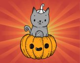 Un gatito de Halloween