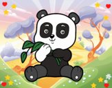 Un oso panda