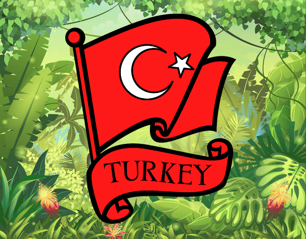 Bandera de Turquía