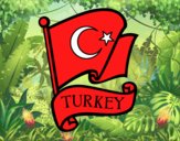 Bandera de Turquía