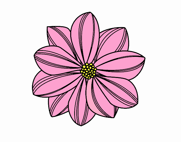 Dibujo de flor margarita pintado por en  el día 12-10-21 a las  18:08:07. Imprime, pinta o colorea tus propios dibujos!