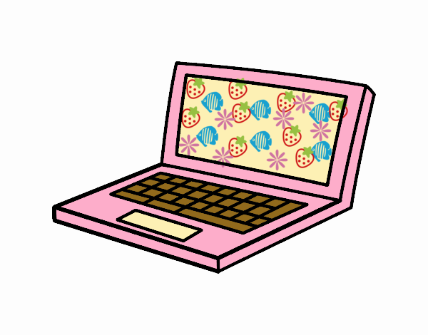 Netbook