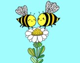 Pareja de abejas