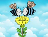 Pareja de abejas