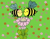 Pareja de abejas