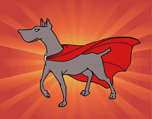 super perro