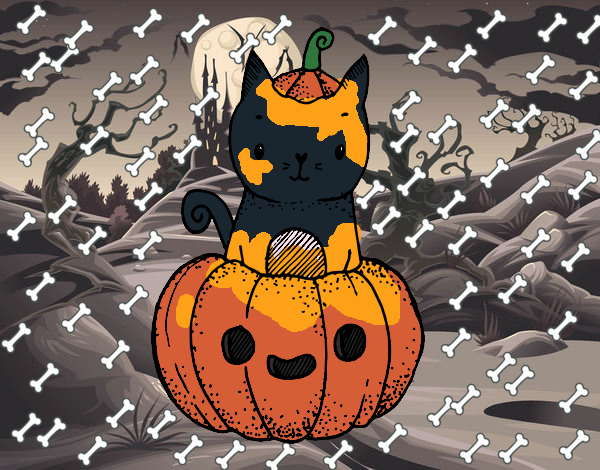 Un gatito de Halloween