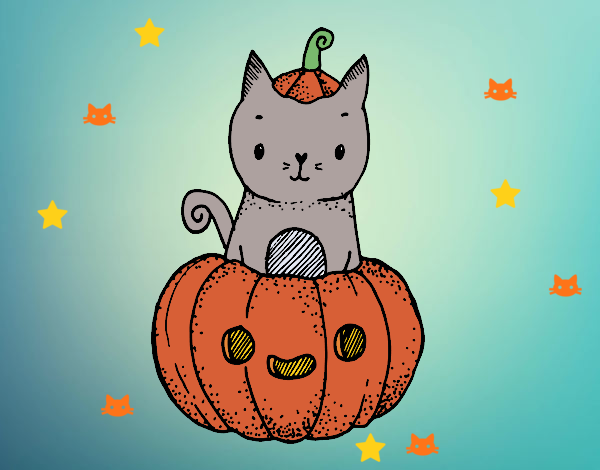 Un gatito de Halloween