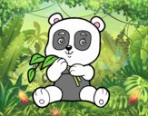 Un oso panda