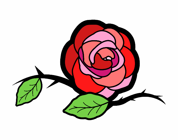 rocilda rosa  florentil