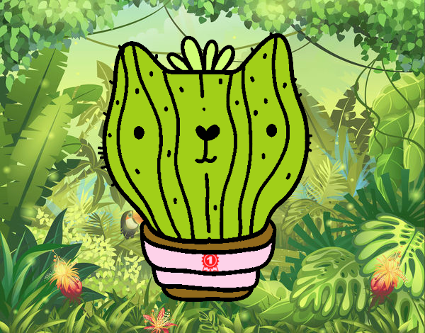 Cactus gato