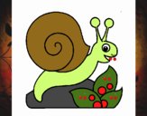 Caracol