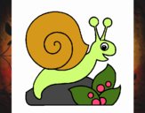 Caracol