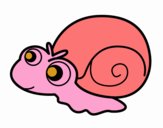 Caracol bebé