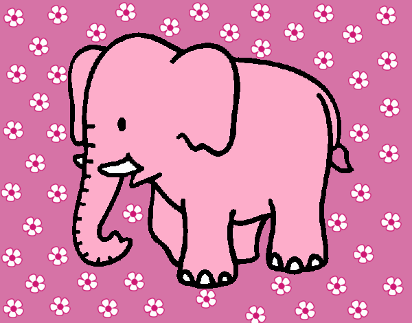 elefante de amor