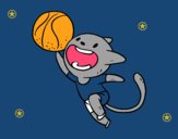 Gato jugando a baloncesto