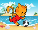 Gato jugando a fútbol