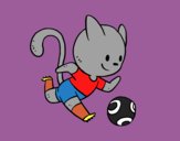 Gato jugando a fútbol