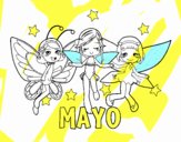 Mayo