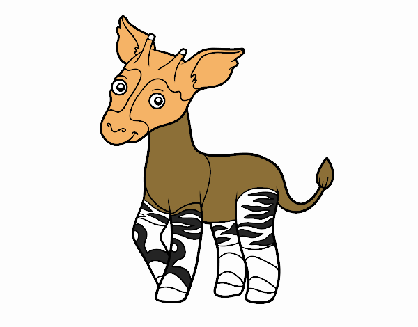 Okapi