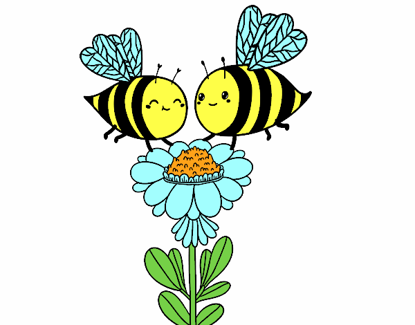 Pareja de abejas