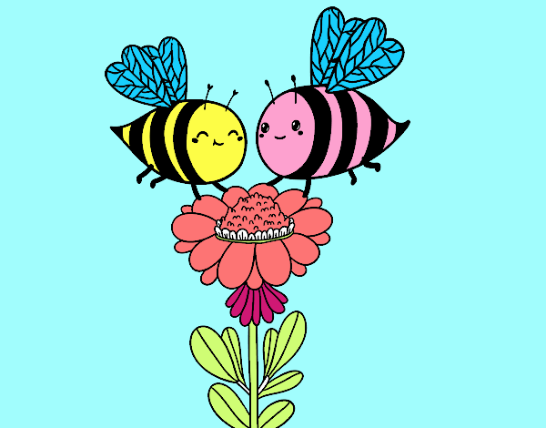 Pareja de abejas