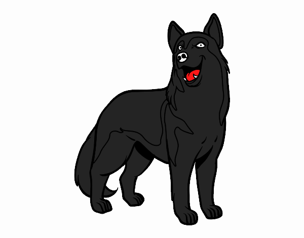 Perro lobo