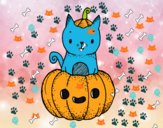 Un gatito de Halloween