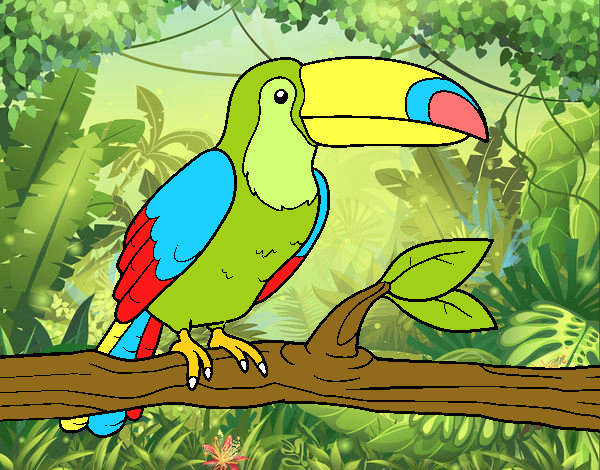 El pájaro mas colorido de la selva