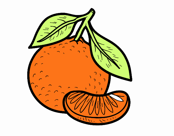 mandarina bellla