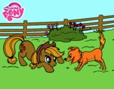 Applejack y Winona