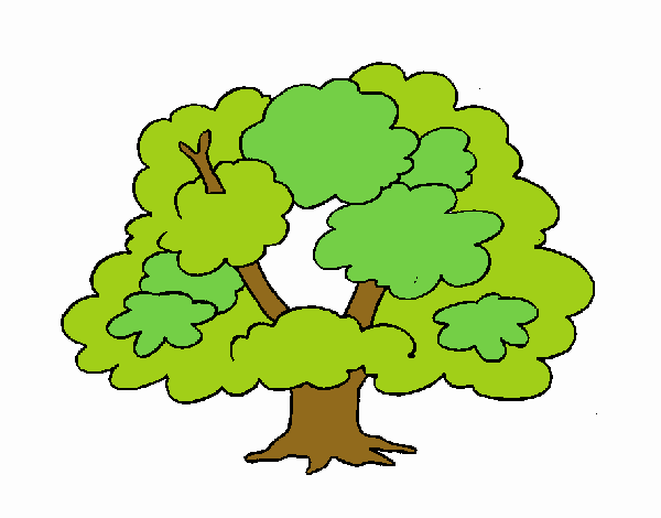 Árbol