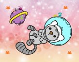 Gatito astronauta