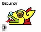 Los días aztecas: el perro Itzcuintli