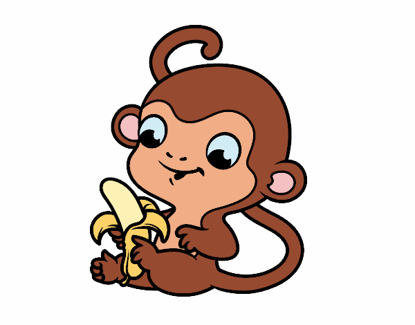 mono selvatico 