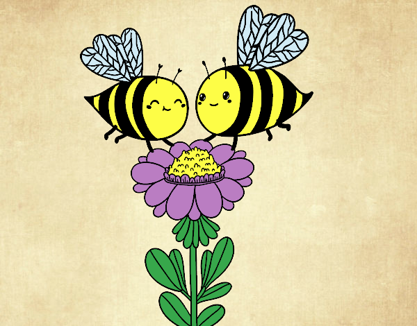 Pareja de abejas