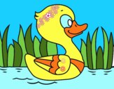 Patito de río