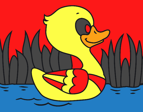 Patito de río