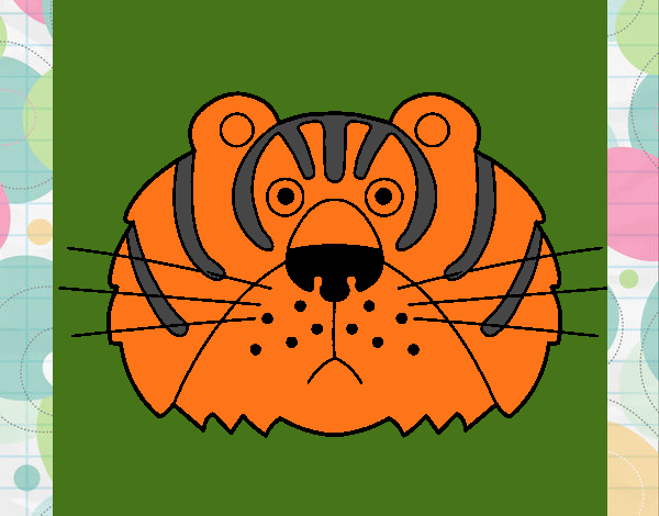 Tigre III