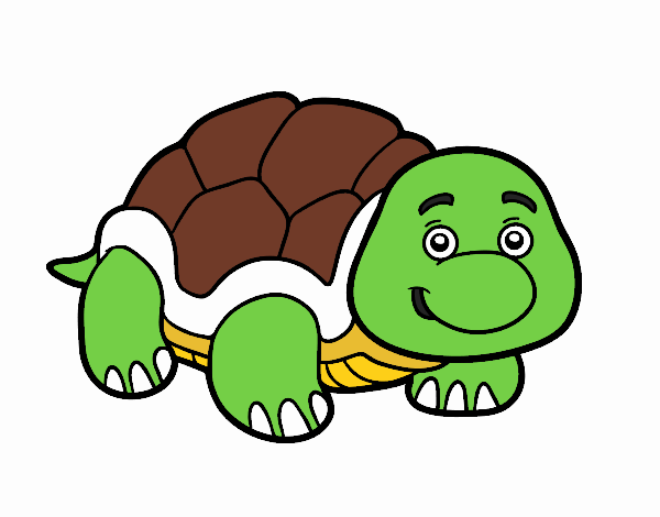 Tortuga de tierra