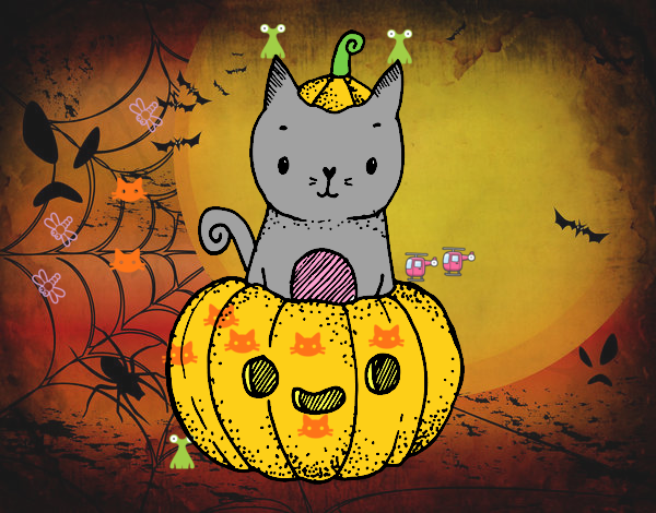 Un gatito de Halloween