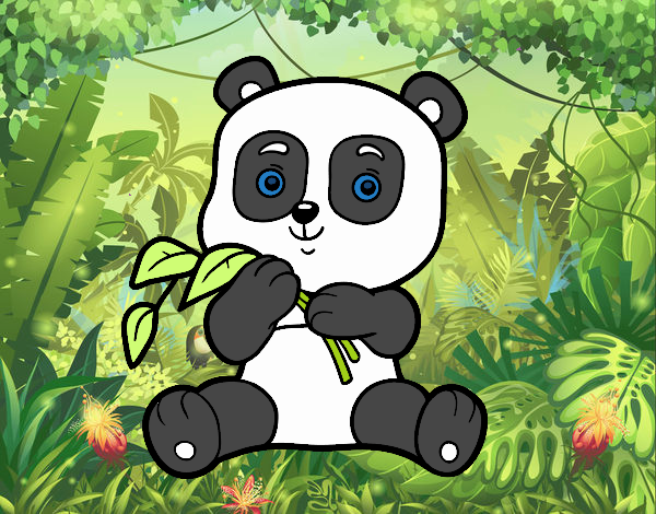 el panda en la selva