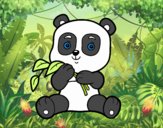 Un oso panda