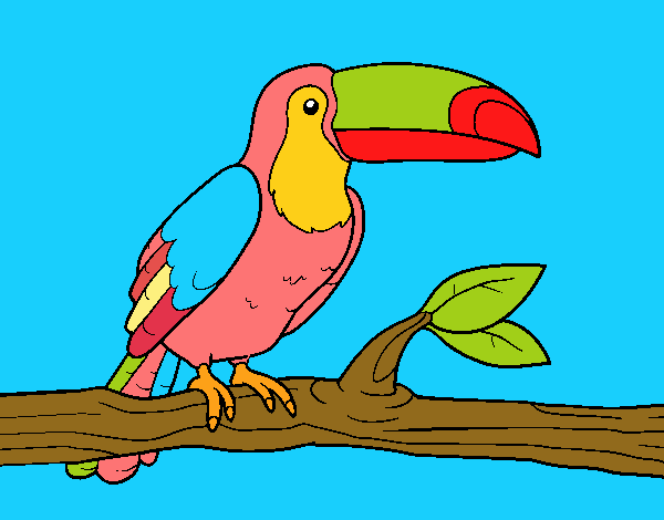 TUCAN