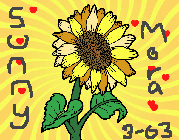 mi lindo girasol 