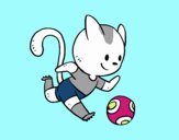 Gato jugando a fútbol