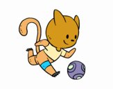 Gato jugando a fútbol